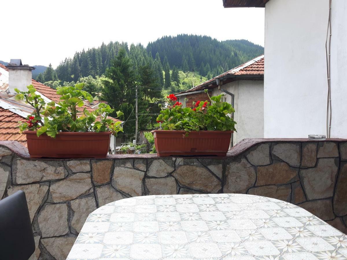 Guest House Denitsa Trigrad Zewnętrze zdjęcie